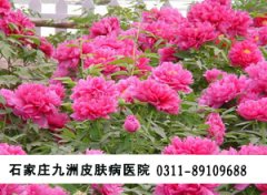 结节性红斑海鲜