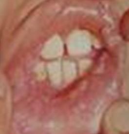 ʪƷúʲôй